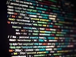 프론트엔드 전담 개발자